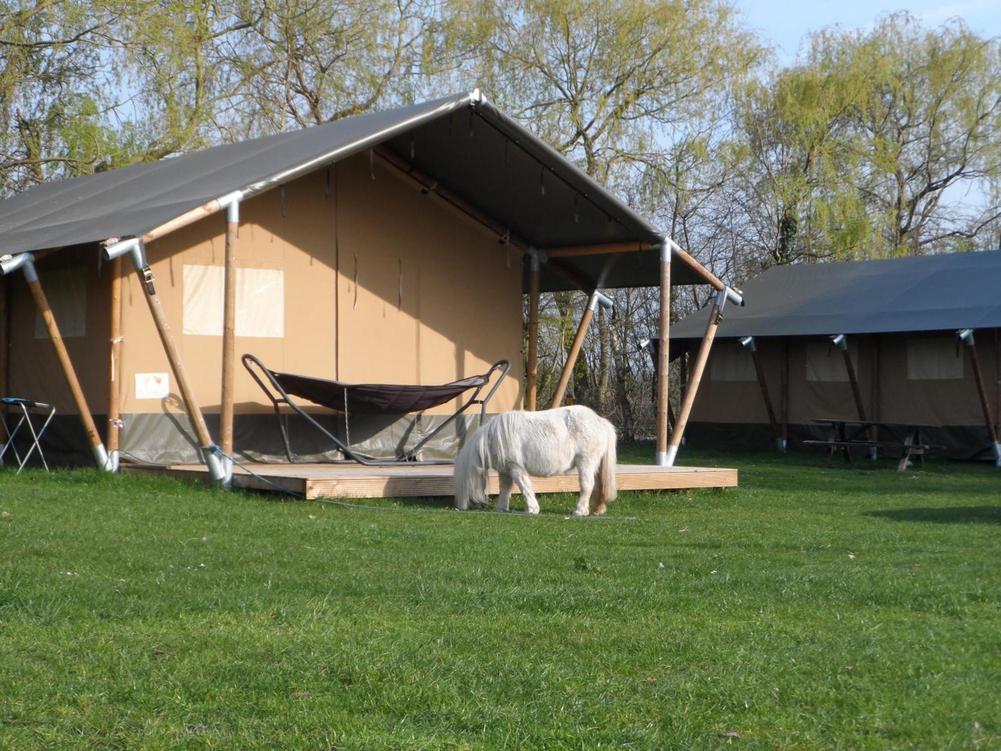 Hoeveheikant Lage Mierde Exterior foto